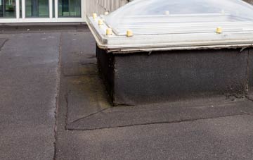 disadvantages of Carlton Scroop flat roofs