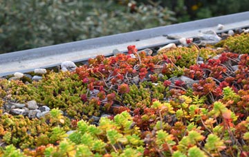 the cost of Carlton Scroop green roof installation