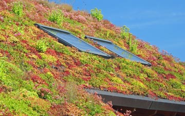 Carlton Scroop living roof systems