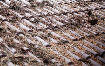 Carlton Scroop roof cleaning companies