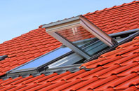 Carlton Scroop roof window